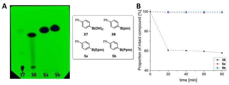 https://cdn.ncbi.nlm.nih.gov/pmc/blobs/7caa/12298831/829bc611d8b9/pharmaceutics-17-00837-g001.jpg