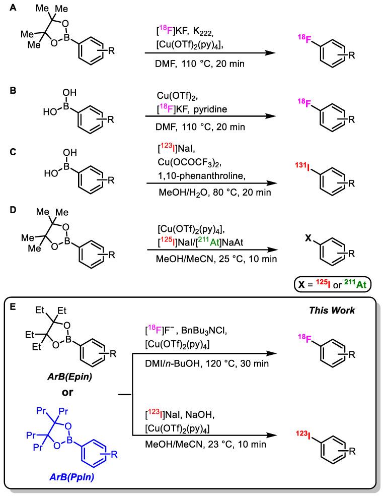 https://cdn.ncbi.nlm.nih.gov/pmc/blobs/7caa/12298831/8d0487150d11/pharmaceutics-17-00837-sch001.jpg