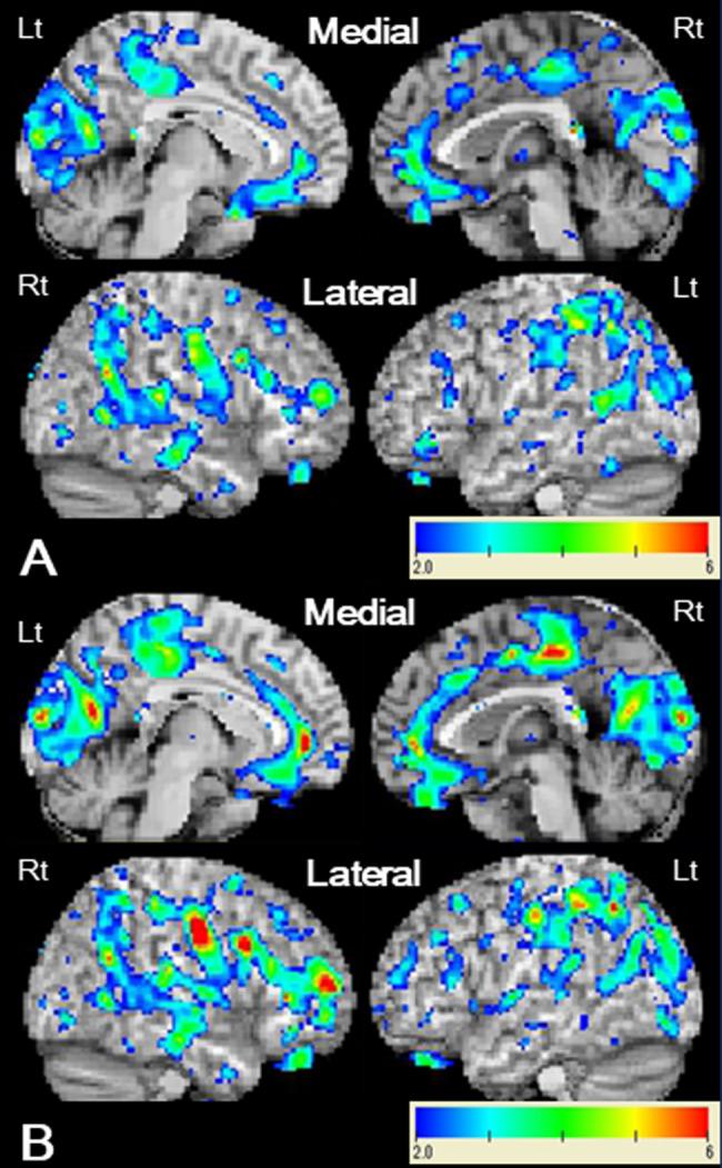 https://cdn.ncbi.nlm.nih.gov/pmc/blobs/7cab/10759324/87af76a65044/12883_2023_3511_Fig3_HTML.jpg