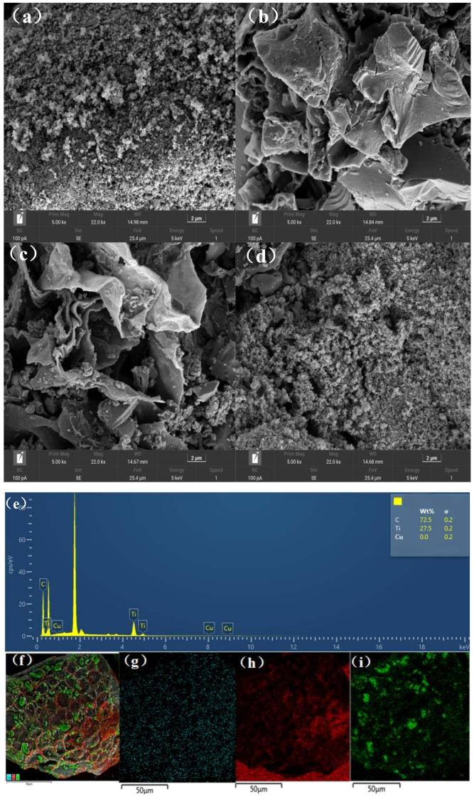 https://cdn.ncbi.nlm.nih.gov/pmc/blobs/7cac/10610555/69bf83216599/toxics-11-00818-g003.jpg