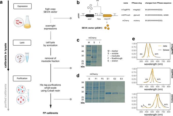 https://cdn.ncbi.nlm.nih.gov/pmc/blobs/7cac/9633595/a475841426b5/41467_2022_34232_Fig2_HTML.jpg