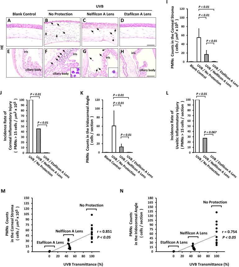 https://cdn.ncbi.nlm.nih.gov/pmc/blobs/7cb1/5390783/df9cb74c32dc/mv-v23-219-f3.jpg