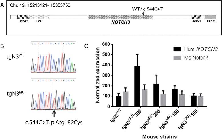 https://cdn.ncbi.nlm.nih.gov/pmc/blobs/7cb3/4696336/8f1d782d25c5/40478_2015_268_Fig1_HTML.jpg