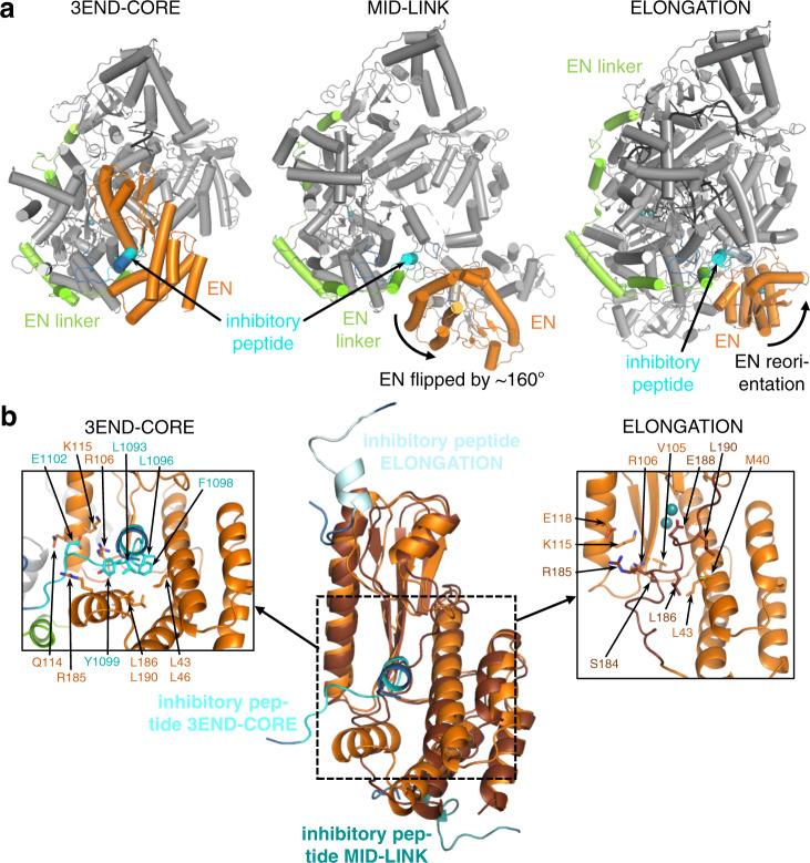 https://cdn.ncbi.nlm.nih.gov/pmc/blobs/7cb3/8639829/0b6671b284f3/41467_2021_27305_Fig5_HTML.jpg