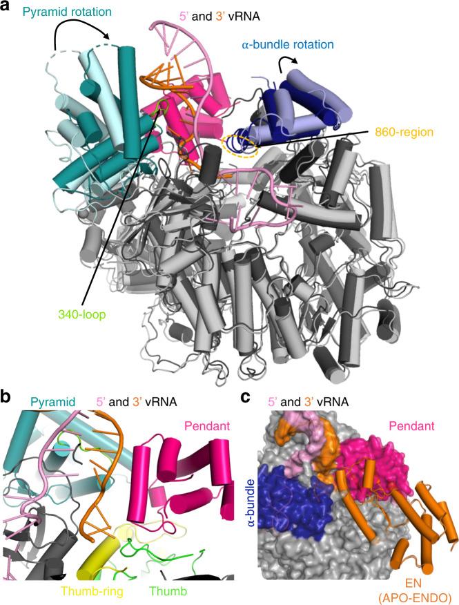 https://cdn.ncbi.nlm.nih.gov/pmc/blobs/7cb3/8639829/a5cd35e6daca/41467_2021_27305_Fig6_HTML.jpg