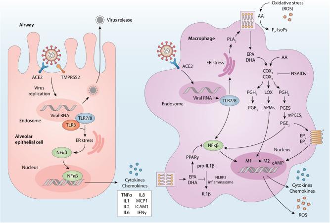 https://cdn.ncbi.nlm.nih.gov/pmc/blobs/7cb4/11068876/e4492c249d4d/41598_2024_60815_Fig3_HTML.jpg