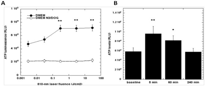 https://cdn.ncbi.nlm.nih.gov/pmc/blobs/7cb4/3141042/627bc0399cad/pone.0022453.g003.jpg