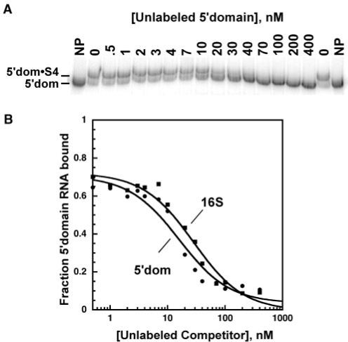 https://cdn.ncbi.nlm.nih.gov/pmc/blobs/7cb5/2665224/c28eacdf504b/gkp036f2.jpg