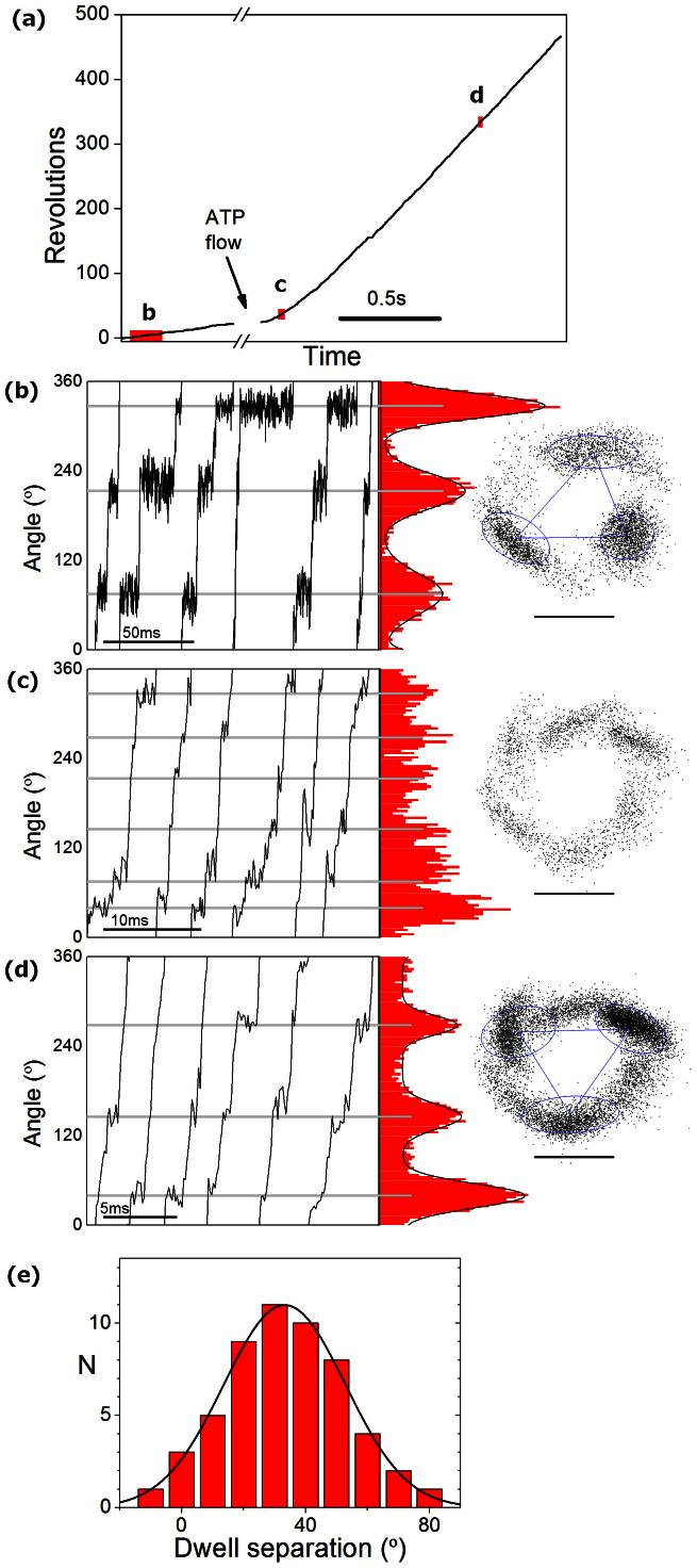 https://cdn.ncbi.nlm.nih.gov/pmc/blobs/7cb5/4894397/979193d69029/srep08773-f4.jpg