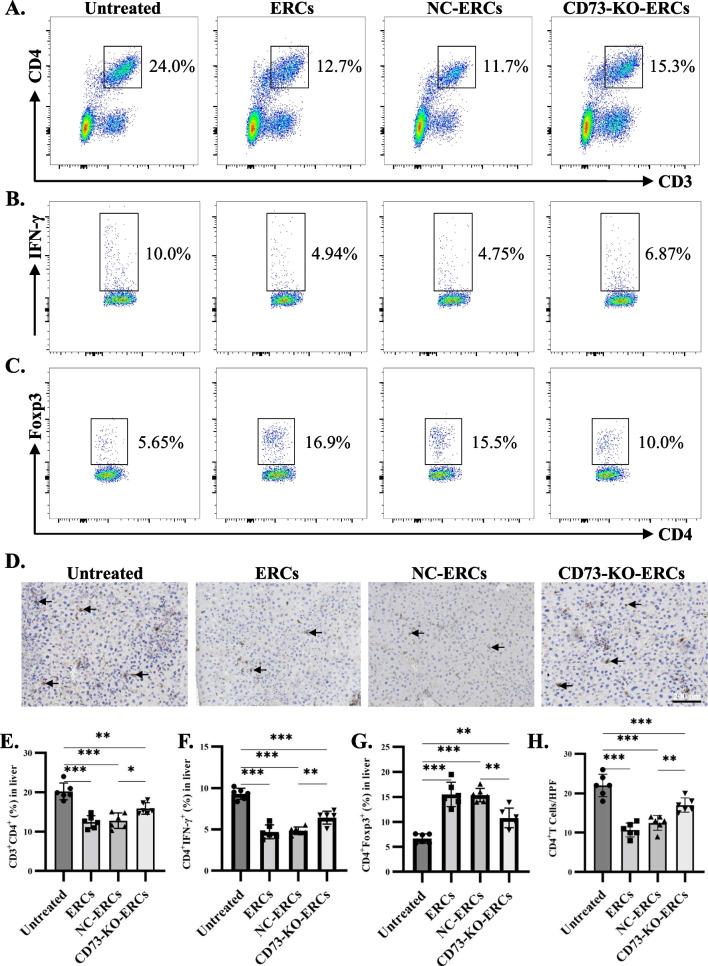 https://cdn.ncbi.nlm.nih.gov/pmc/blobs/7cb6/10543328/fb89ac11b944/13287_2023_3505_Fig4_HTML.jpg