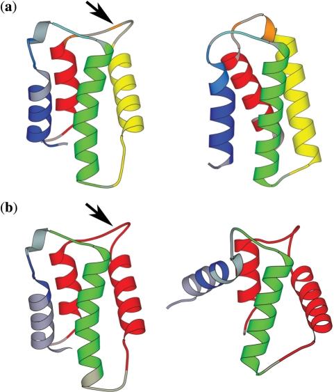 https://cdn.ncbi.nlm.nih.gov/pmc/blobs/7cb6/2703895/1163e64c2deb/gkp328f3.jpg