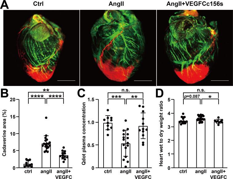 https://cdn.ncbi.nlm.nih.gov/pmc/blobs/7cbc/7695461/29b51e149bc9/elife-58376-fig3.jpg