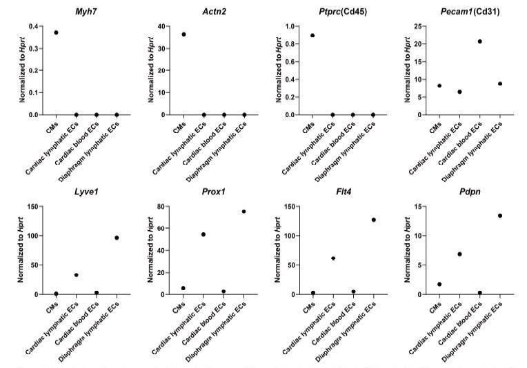 https://cdn.ncbi.nlm.nih.gov/pmc/blobs/7cbc/7695461/6470024af687/elife-58376-resp-fig1.jpg