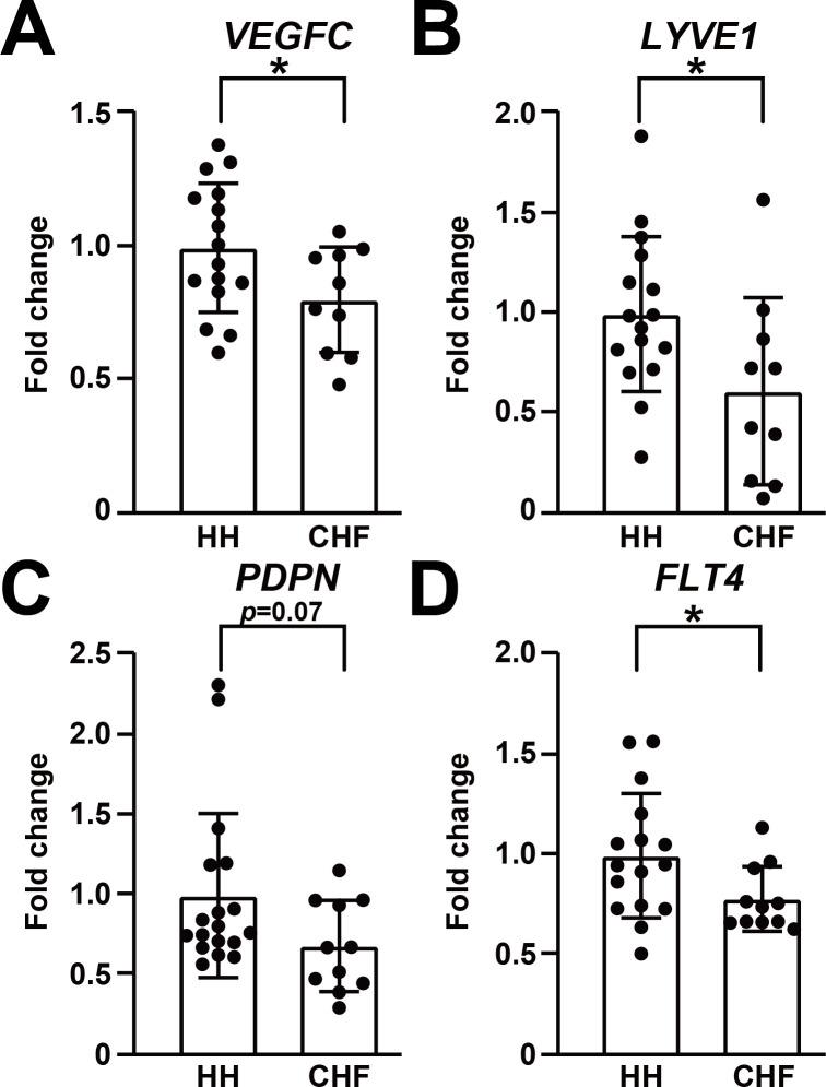 https://cdn.ncbi.nlm.nih.gov/pmc/blobs/7cbc/7695461/67e26097c26a/elife-58376-fig1.jpg