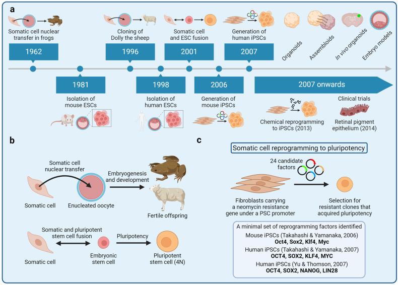 https://cdn.ncbi.nlm.nih.gov/pmc/blobs/7cbd/11053163/ec49e020523d/41392_2024_1809_Fig1_HTML.jpg