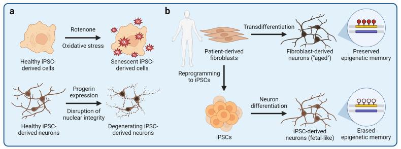 https://cdn.ncbi.nlm.nih.gov/pmc/blobs/7cbd/11053163/f385c128b22c/41392_2024_1809_Fig4_HTML.jpg