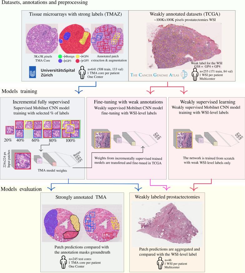 https://cdn.ncbi.nlm.nih.gov/pmc/blobs/7cbd/8105943/74e56e57b066/12880_2021_609_Fig1_HTML.jpg
