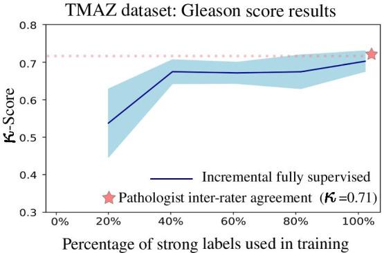 https://cdn.ncbi.nlm.nih.gov/pmc/blobs/7cbd/8105943/f6632dd7fbf1/12880_2021_609_Fig3_HTML.jpg
