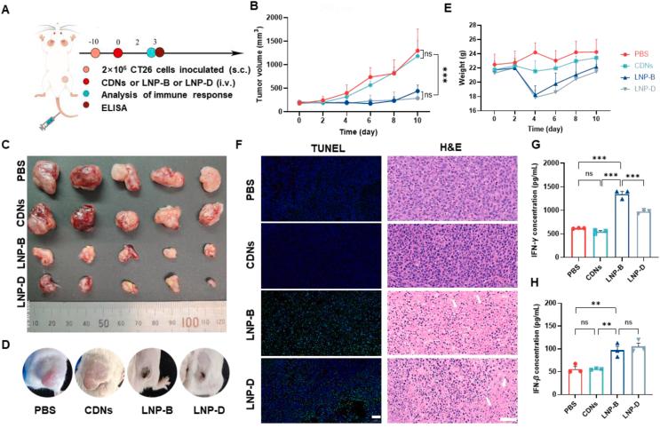 https://cdn.ncbi.nlm.nih.gov/pmc/blobs/7cc0/12069114/733900fbe8a3/gr7.jpg