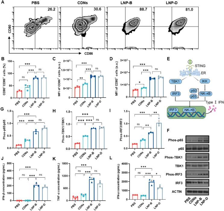 https://cdn.ncbi.nlm.nih.gov/pmc/blobs/7cc0/12069114/ca2b05be4cb6/gr3.jpg