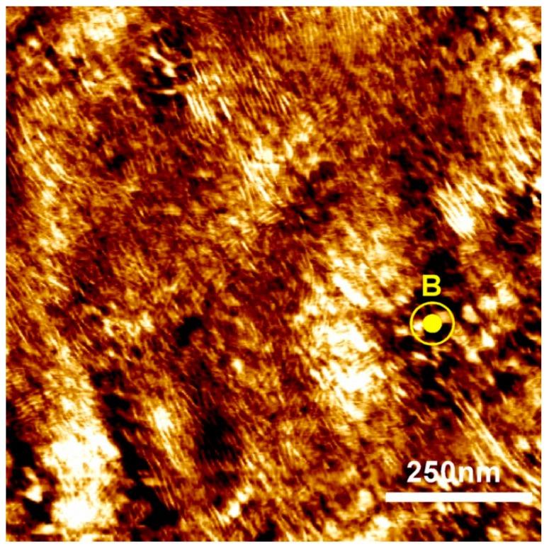 https://cdn.ncbi.nlm.nih.gov/pmc/blobs/7cc0/6572399/774b3b58804e/polymers-11-00887-g006.jpg