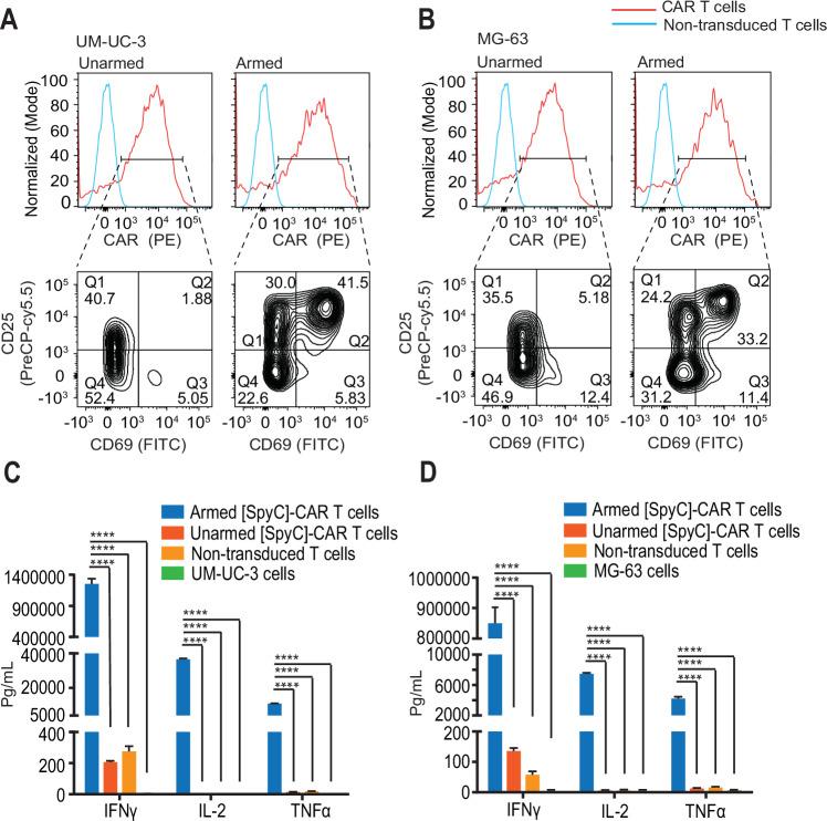 https://cdn.ncbi.nlm.nih.gov/pmc/blobs/7cc2/11554890/ad641c4aac29/44321_2024_153_Fig2_HTML.jpg