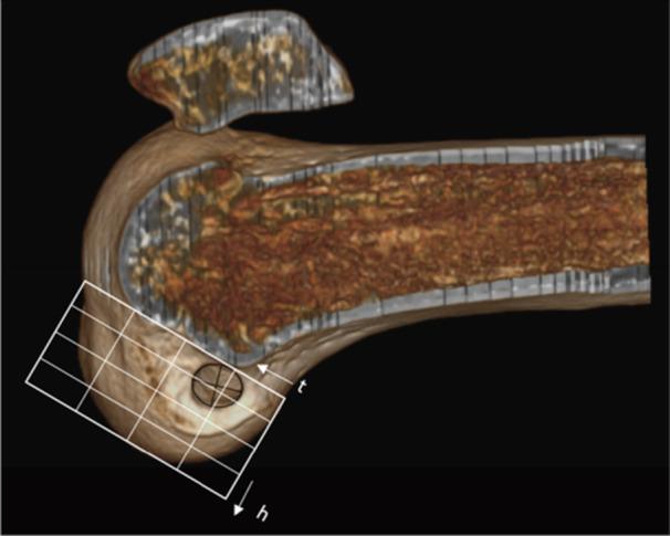 https://cdn.ncbi.nlm.nih.gov/pmc/blobs/7cc2/12412038/71da33610221/JEO2-12-e70403-g004.jpg