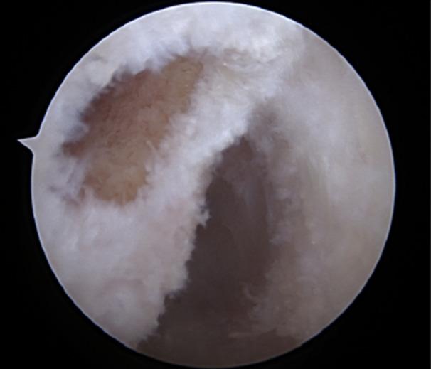 https://cdn.ncbi.nlm.nih.gov/pmc/blobs/7cc2/12412038/de482d9101bb/JEO2-12-e70403-g001.jpg