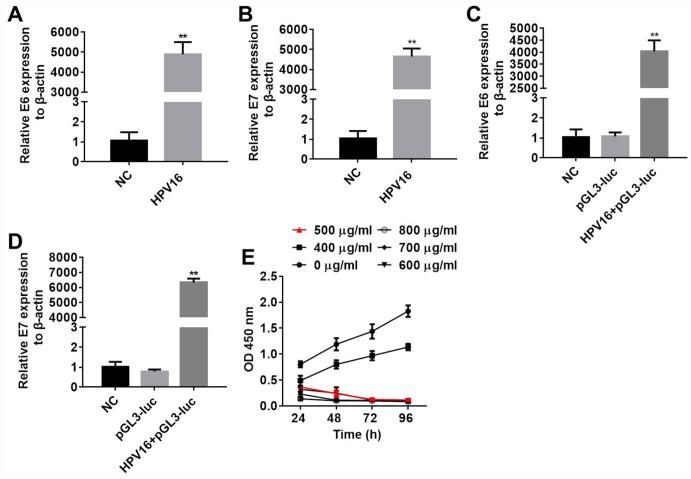 https://cdn.ncbi.nlm.nih.gov/pmc/blobs/7cc2/6949056/dfdfa8e9db13/aging-11-102494-g004.jpg