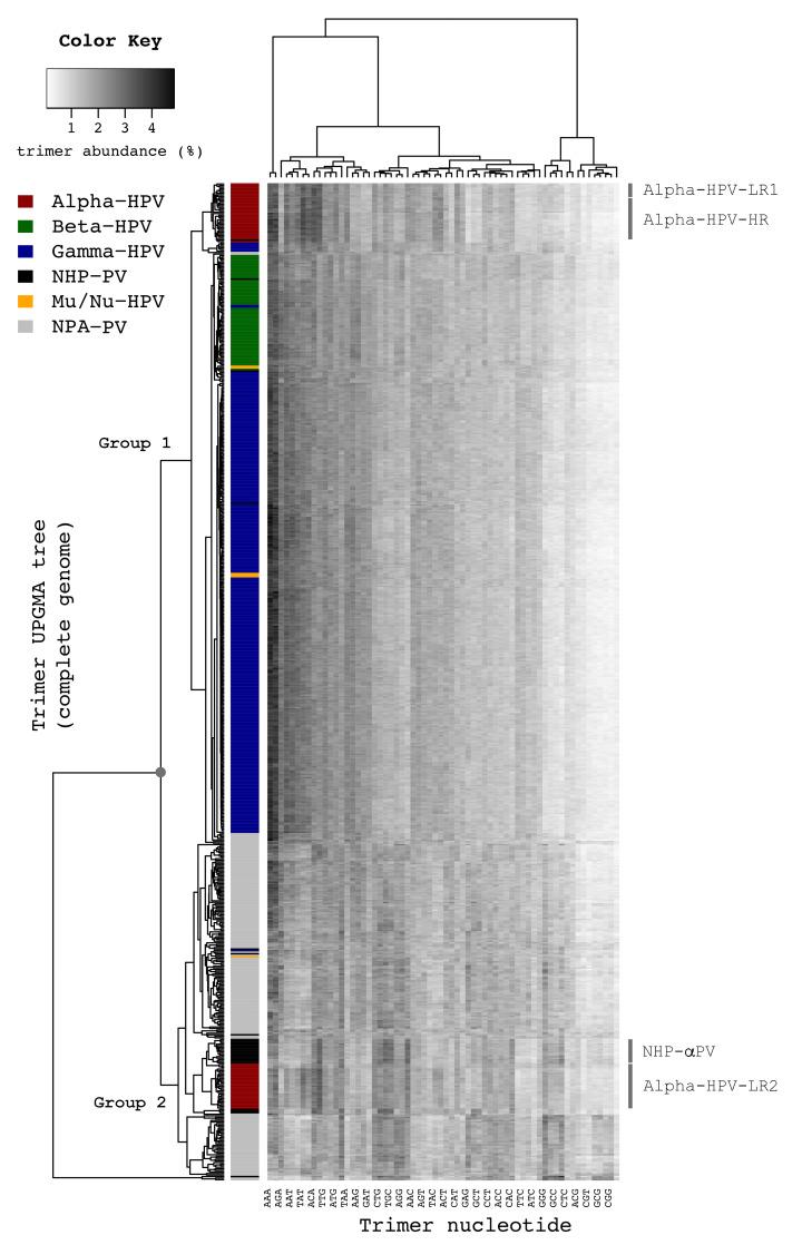 https://cdn.ncbi.nlm.nih.gov/pmc/blobs/7cc3/8432194/644de7d2f107/ijms-22-09657-g002.jpg
