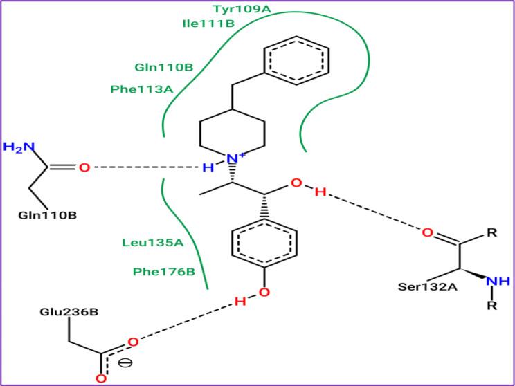https://cdn.ncbi.nlm.nih.gov/pmc/blobs/7cc4/11293250/3a4b5ee484ec/13065_2024_1248_Fig11_HTML.jpg