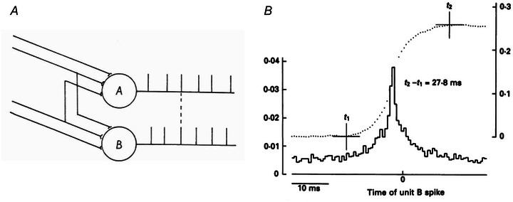 https://cdn.ncbi.nlm.nih.gov/pmc/blobs/7cc5/10952757/748852d44389/TJP-602-281-g002.jpg