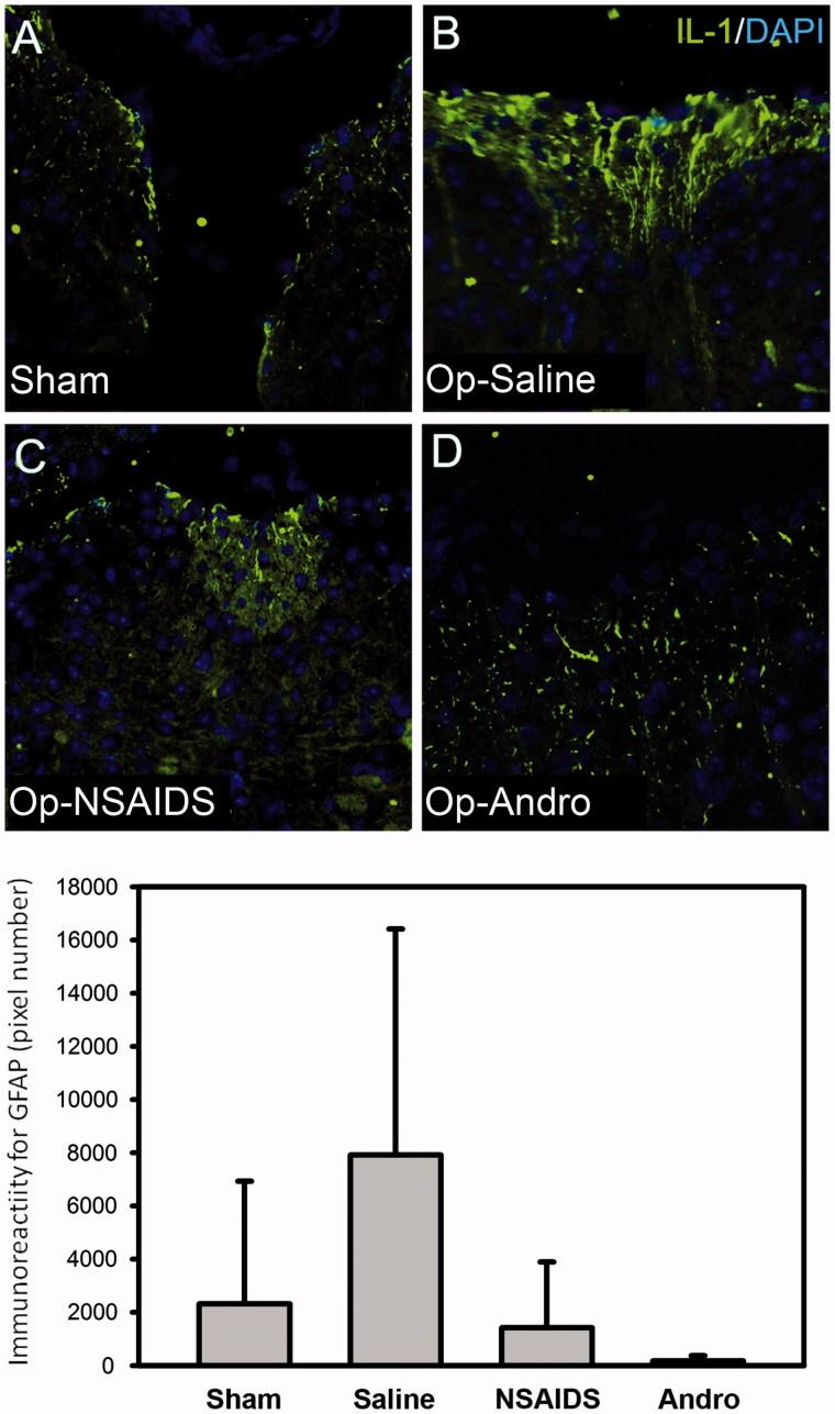 https://cdn.ncbi.nlm.nih.gov/pmc/blobs/7cc5/6130553/39b39935d51c/IPHB_A_1426614_F0006_C.jpg