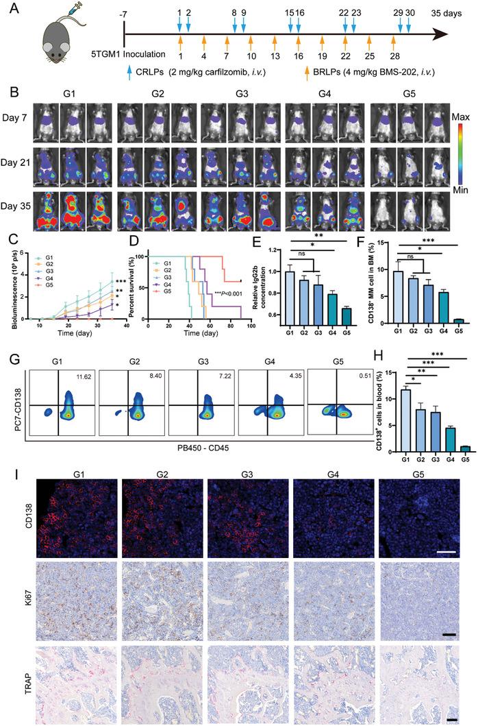 https://cdn.ncbi.nlm.nih.gov/pmc/blobs/7cc6/11948077/b8dd253d604c/ADVS-12-2409895-g008.jpg
