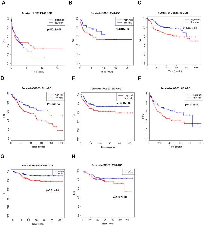 https://cdn.ncbi.nlm.nih.gov/pmc/blobs/7cc6/6629000/253f89085c1f/aging-11-102025-g005.jpg