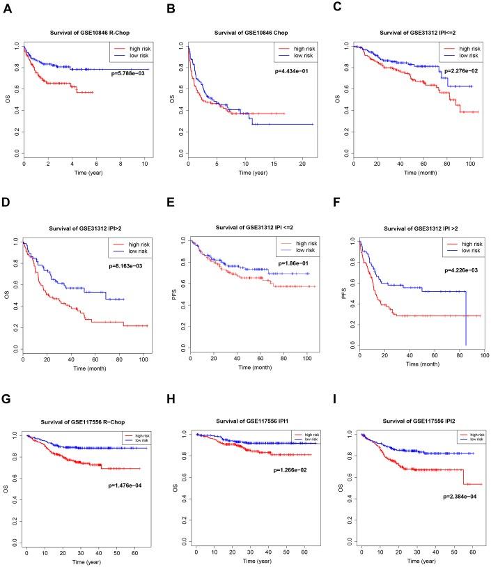 https://cdn.ncbi.nlm.nih.gov/pmc/blobs/7cc6/6629000/8637c85fff94/aging-11-102025-g006.jpg