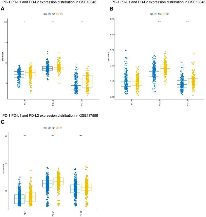 https://cdn.ncbi.nlm.nih.gov/pmc/blobs/7cc6/6629000/9e591a58dc77/aging-11-102025-g008.jpg