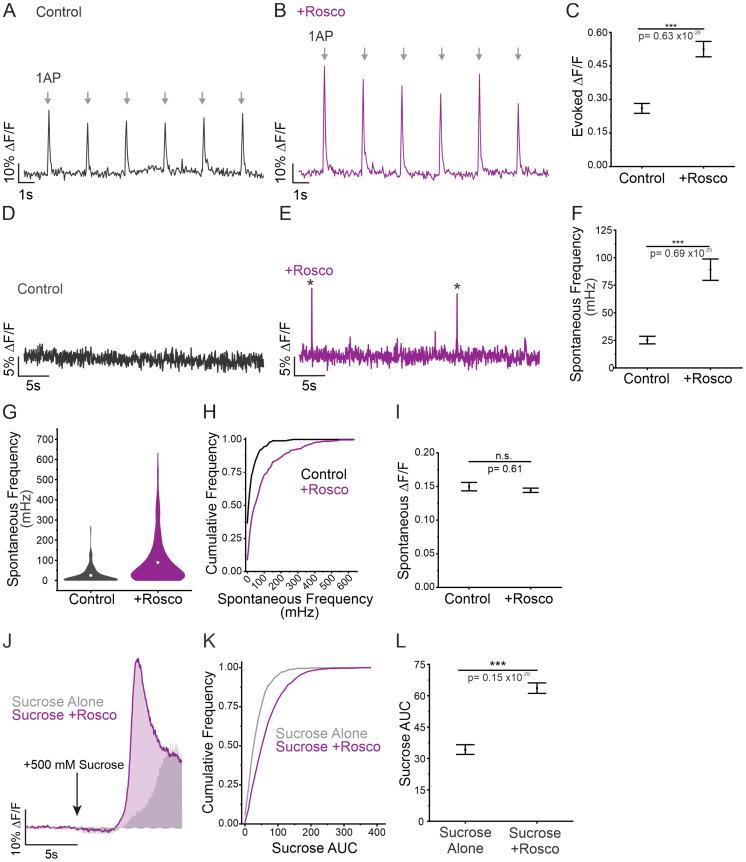 https://cdn.ncbi.nlm.nih.gov/pmc/blobs/7cc7/11063817/9d546500b454/jneuro-44-e1253232024-g006.jpg