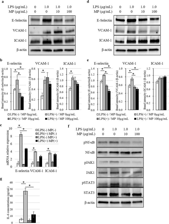 https://cdn.ncbi.nlm.nih.gov/pmc/blobs/7cc8/7973421/194d9cca82e8/41598_2021_85241_Fig1_HTML.jpg