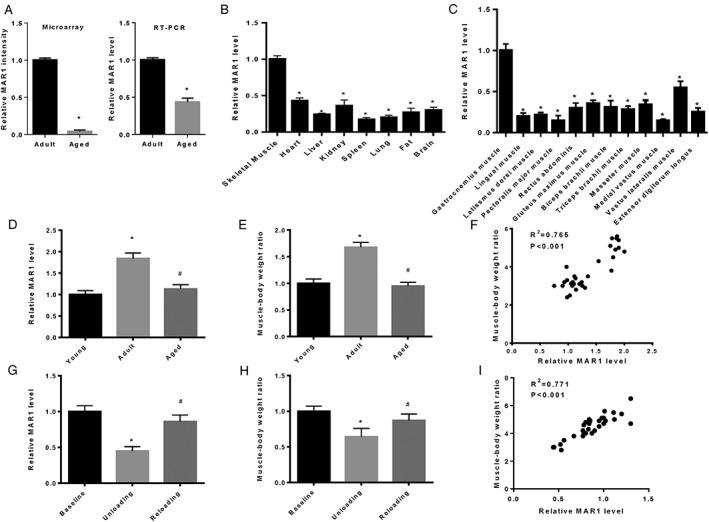 https://cdn.ncbi.nlm.nih.gov/pmc/blobs/7cc9/5989759/d85839eba6c5/JCSM-9-613-g001.jpg