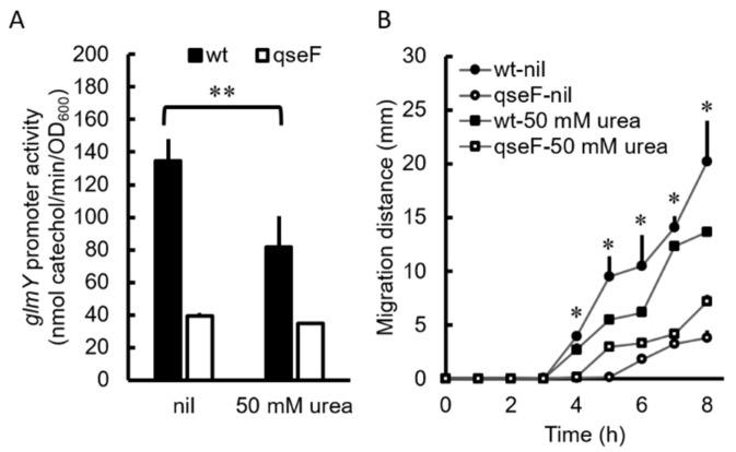 https://cdn.ncbi.nlm.nih.gov/pmc/blobs/7cc9/8745638/26f1acd35092/ijms-23-00487-g005.jpg