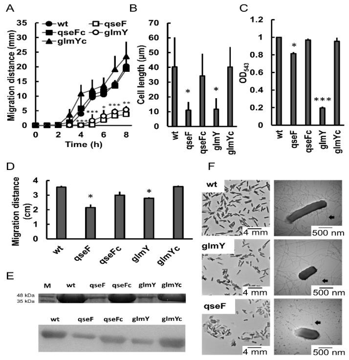 https://cdn.ncbi.nlm.nih.gov/pmc/blobs/7cc9/8745638/e00ee9d7f984/ijms-23-00487-g002.jpg