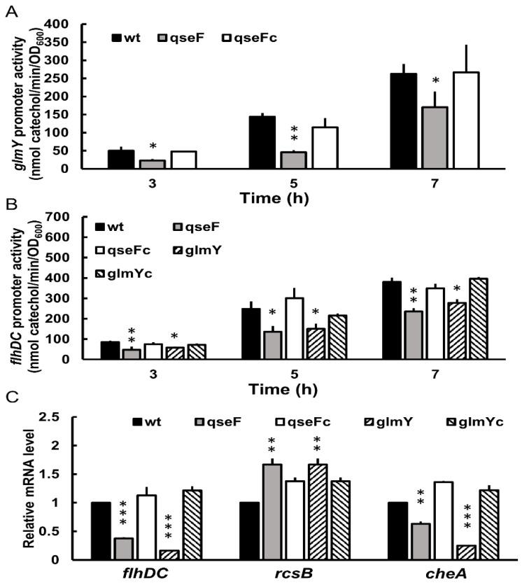 https://cdn.ncbi.nlm.nih.gov/pmc/blobs/7cc9/8745638/fa40a031a206/ijms-23-00487-g003.jpg