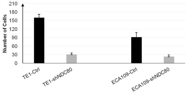 https://cdn.ncbi.nlm.nih.gov/pmc/blobs/7ccc/12142979/c006e5da7dec/12876_2025_4048_Fig5_HTML.jpg
