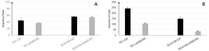 https://cdn.ncbi.nlm.nih.gov/pmc/blobs/7ccc/12142979/e198c17691d2/12876_2025_4048_Fig4_HTML.jpg