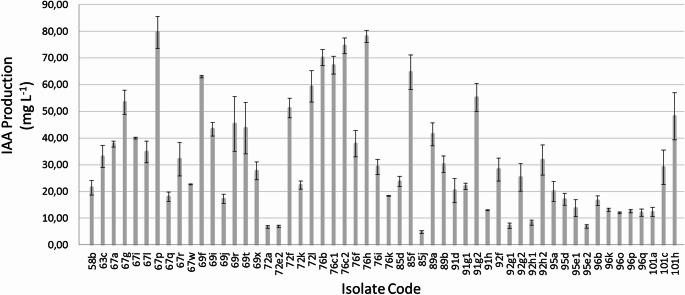 https://cdn.ncbi.nlm.nih.gov/pmc/blobs/7cce/12334442/b213f2e74d53/11274_2025_4482_Fig3_HTML.jpg
