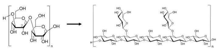 https://cdn.ncbi.nlm.nih.gov/pmc/blobs/7cd0/7712035/83afb600b45b/jof-06-00269-g004.jpg