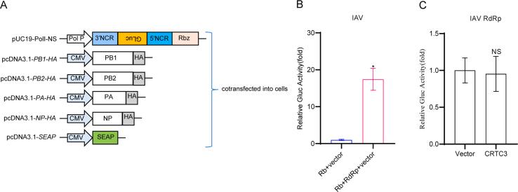 https://cdn.ncbi.nlm.nih.gov/pmc/blobs/7cd1/11963146/00793369e607/figs6.jpg