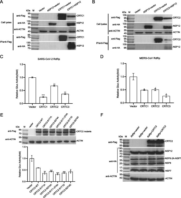https://cdn.ncbi.nlm.nih.gov/pmc/blobs/7cd1/11963146/43144a88e6e8/gr4.jpg