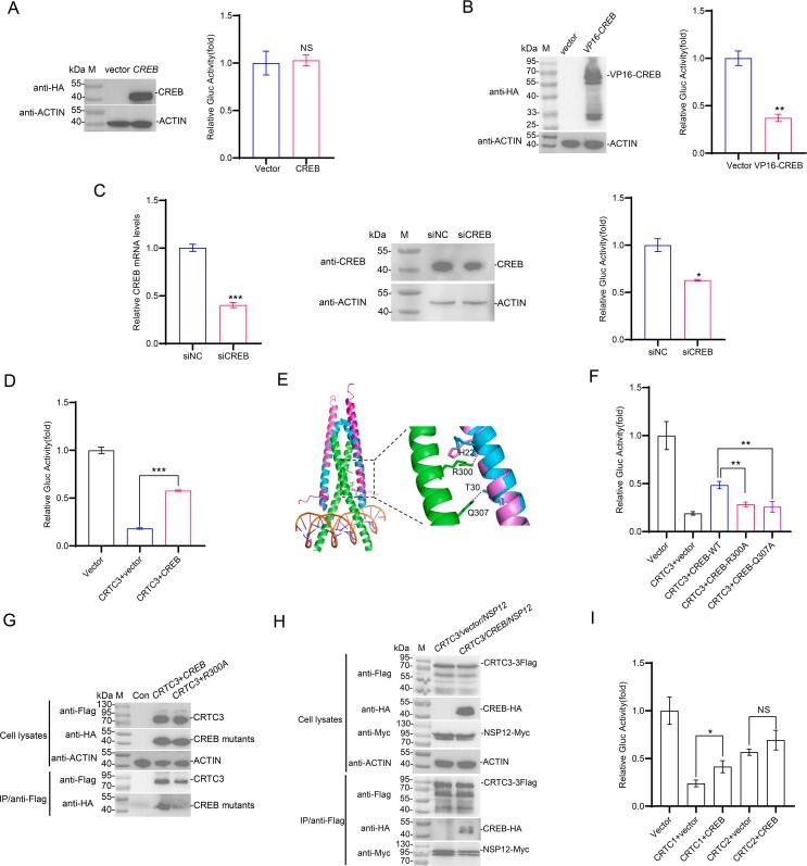 https://cdn.ncbi.nlm.nih.gov/pmc/blobs/7cd1/11963146/4921bc282c4c/gr5.jpg